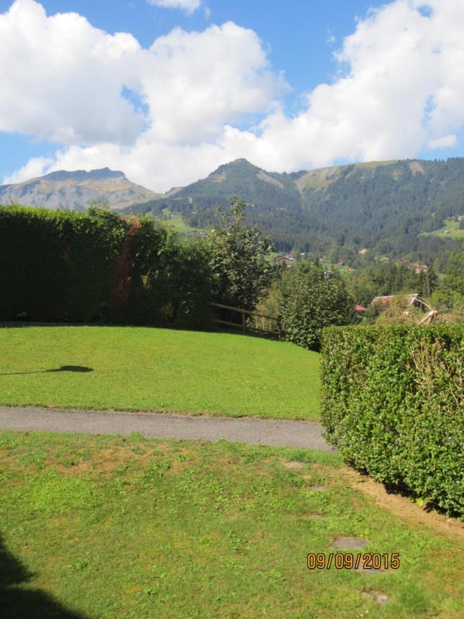 Villa L'Onyx - Domaine De Nant Cruy Sallanches Esterno foto