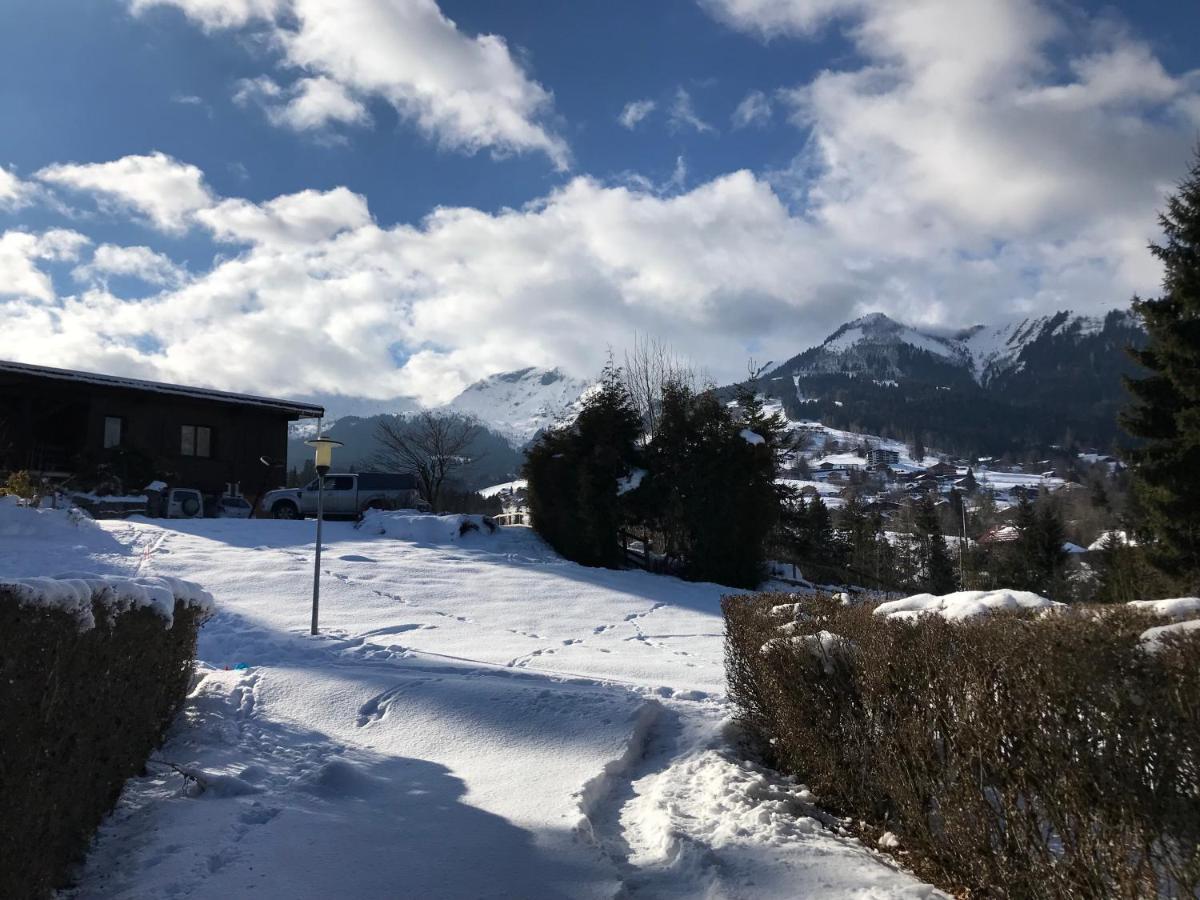 Villa L'Onyx - Domaine De Nant Cruy Sallanches Esterno foto